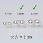 準花珠/花珠落ち パールピアス イヤリング 無調色 真珠総合研究所 PT900 K14ホワイトゴールド