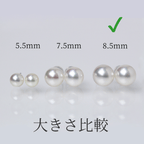 花珠 パールピアス イヤリング 無調色 8.5mm 真珠総合研究所 PT900 K14ホワイトゴールド